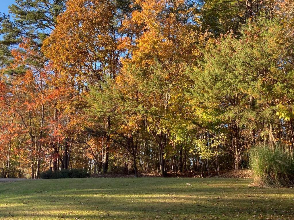 Stay At Rivermist Dahlonega Exterior photo